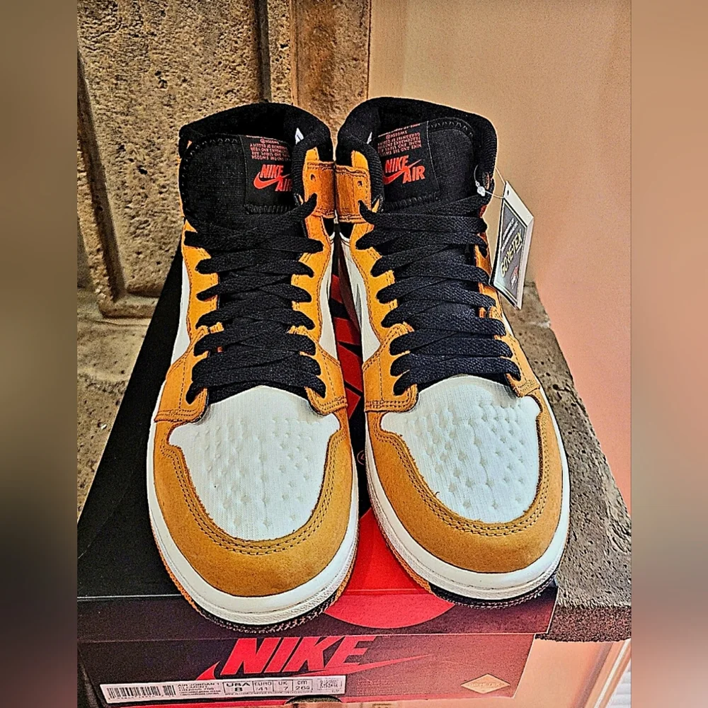 NIB Air Jordan 1 Element Gore-Tex 